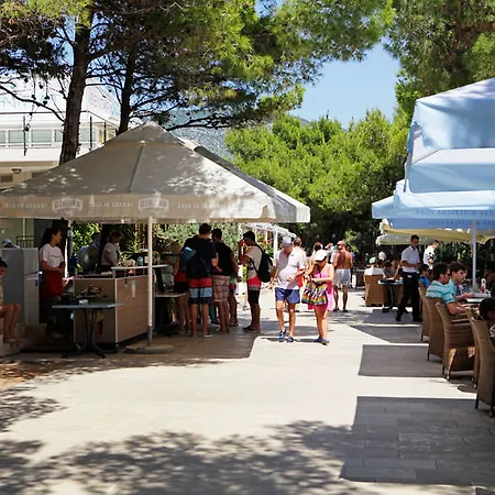 Zlatni Rat Bol